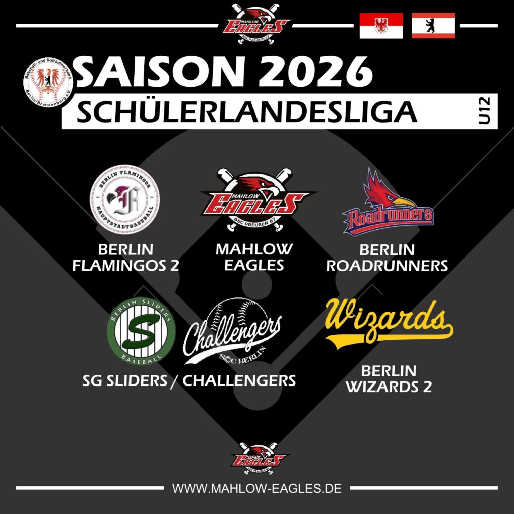 260129 Ligaeinteilung 2026-2 (Benutzerdefiniert)